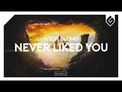 Aitor Blond – Never Liked You