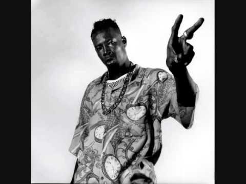 Best of Shabba Ranks Reggae Dancehall Mix