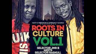 Roots In Culture Vol 1 Selector Jnr B Meets DJ Raskul