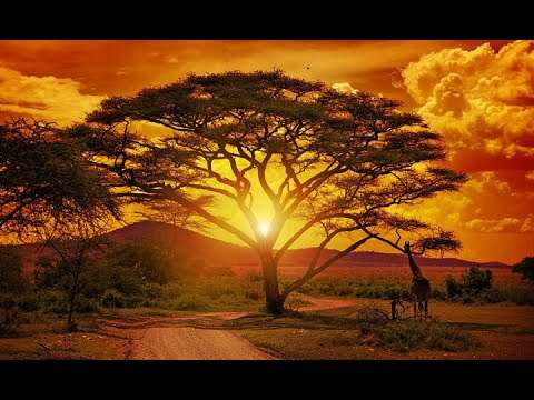 AFRICA REGGAE GOSPEL MUSIC (NIGERIA / AFRICA MUSIC)