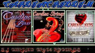 Cardiac Bass/ Cardiac Strings /Cardiac Keys Riddim (CR²03 RECORDS) All in One Mega Mix Djeasy