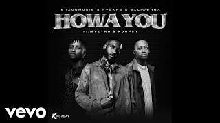 Shaunmusiq & Ftears x Daliwonga  Howa You (Official Audio)