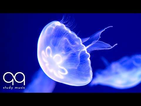 Beautiful Aquarium & Relaxing Music – Soothing Ambient Sounds with Underwater Background