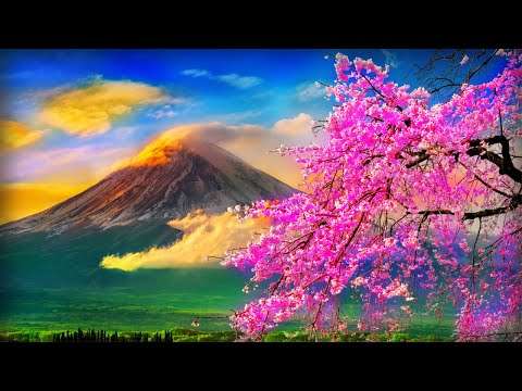 Reiki Music for Self Healing ➤ Cleanse Of Negativity | 432Hz Spiritual Meditation & Angelic Harmony