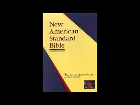 Epistle to the Romans (NASB Audio Bible Non Dramatized)