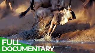 Wildlife Laws: Only the Fastest Will Survive | Free Documentary Nature