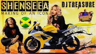 SHENSEEA MIX 2019 RAW: SHENSEEA DANCEHALL MIX 2019 (DJ TREASURE) 18764807131