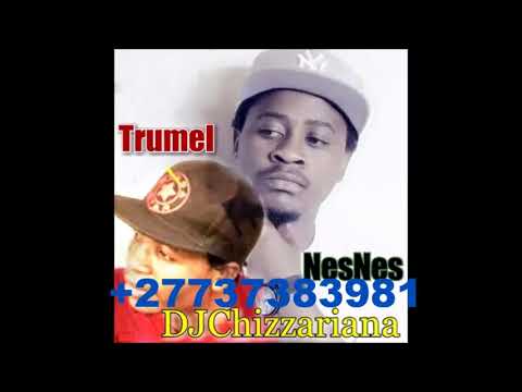 TRUMEL vs NESNES -DJChizzariana