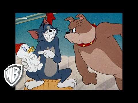 Tom & Jerry | Classic Cartoon Compilation | Tom Jerry & Spike