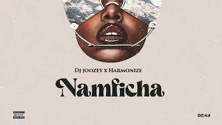 Dj Joozey X Harmonize ? Namficha (Official Lyrics Audio)