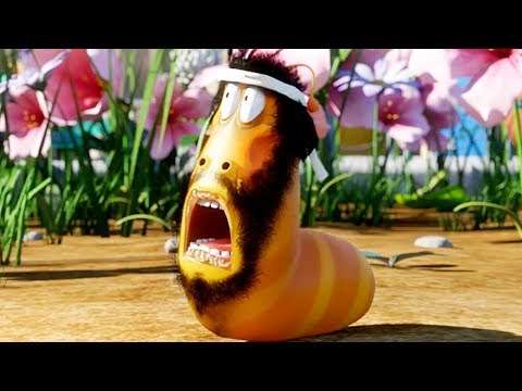 LARVA – THE GRAND MARATHON | Cartoon Movie | Cartoons For Children | Larva Cartoon | LARVA Official