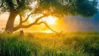 Beautiful Relaxing Hymns, Peaceful Instrumental Music, "Monday Morning Sunrise" By Tim Janis