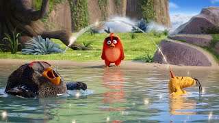 The angry birds full movie in Hindi