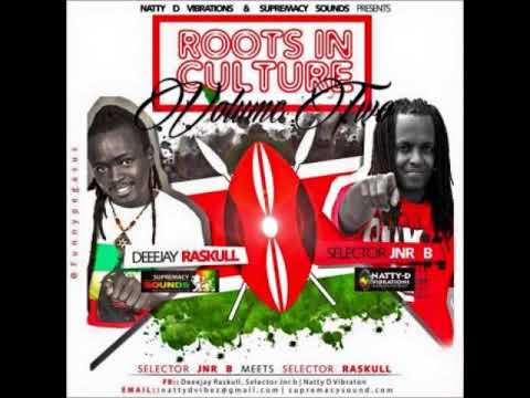 Roots In Culture Vol 2 Selector Jnr B Meets DJ Raskull