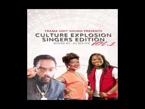 Culture Reggae Mix: Chronixx Jah Cure Alaine Christopher Martin Busy Signal & More